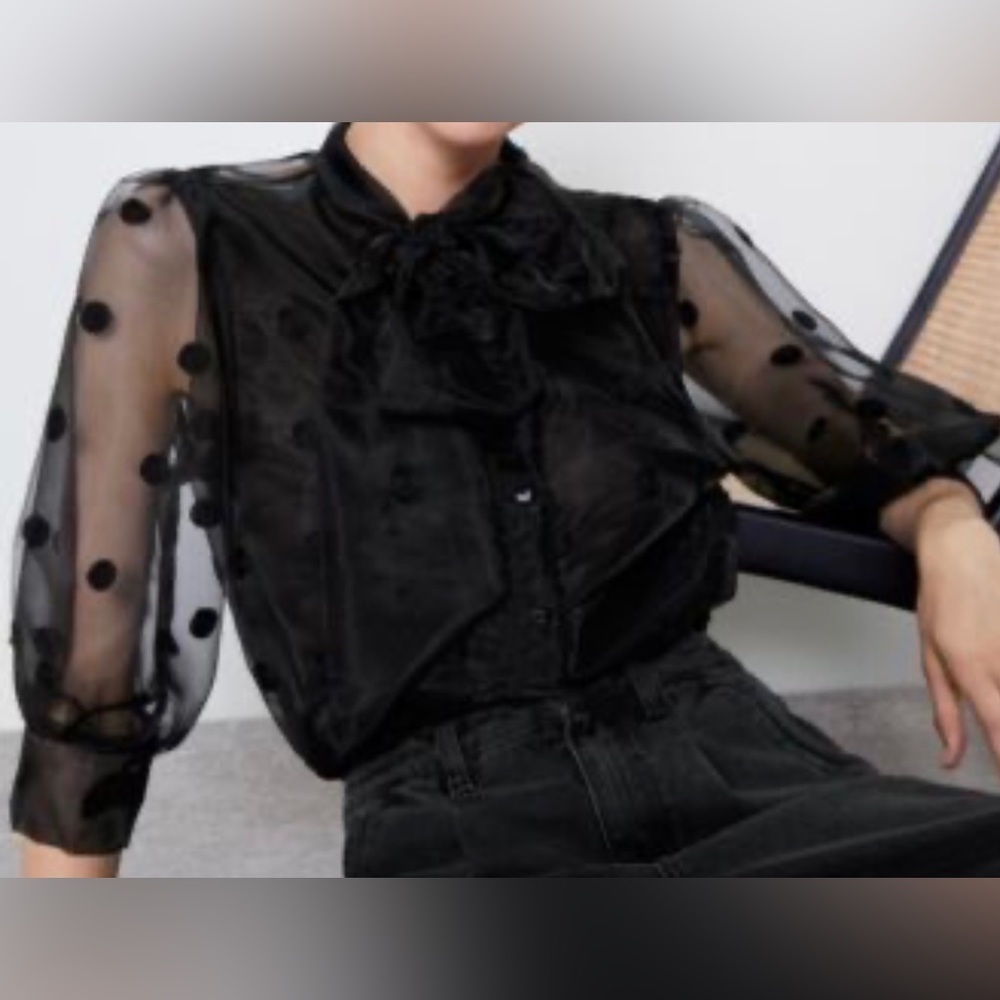 Zara Womens Sheer Polka Dot Blouse with Bow Tie